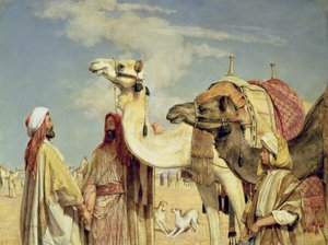 Greetings in the Desert, Egypt