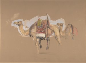 Two Camels, ca. 1843 by John Frederick Lewis