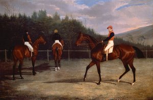 The Start of the Goodwood Gold Cup by John Frederick Herring Senior