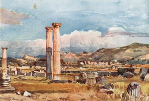 Olympia. The Palaestra and Remains of the Temple of Zeus by John Fulleylove
