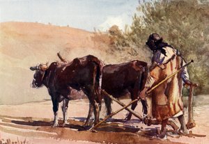 Ploughing on the Mount of Olives by John Fulleylove
