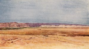 The Western Shore of the Dead Sea