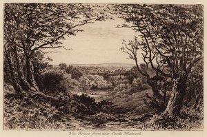 New Forest from near Castle Malwood