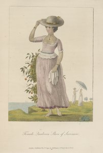 Female quadroon slave of Surinam by John Gabriel Stedman