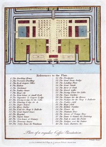 Plan of a Regular Coffee Plantation, 1813 by John Gabriel Stedman