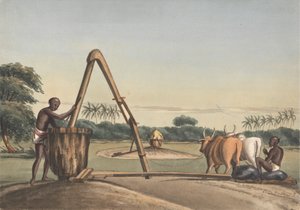 The Checkoo or Oil Mill by John Gantz
