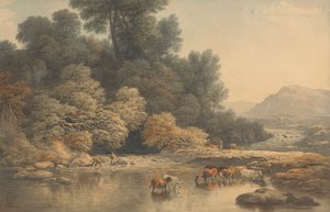 Hilly Landscape with River and Cattle