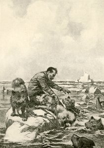 Dr. Grenfell Adrift on an Ice Floe by John Harris Valda
