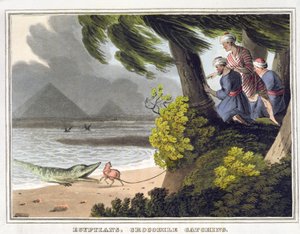 Egyptians Crocodile Catching, Engraved by Matthew Dubourg, Published by Edward Orme