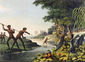 Hunting the Kangaroo, aborigines in New South Wales engraved by Matthew Dubourg