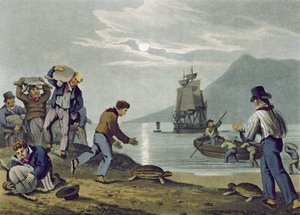Turtle Catching on Land (engraved by Matthew Dubourg, published by Edward Orme, 1813)