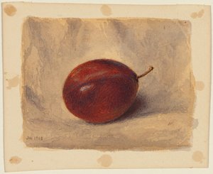 Plum by John Henry Hill