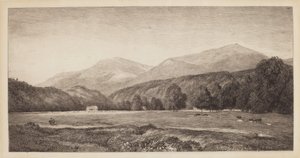 White Mountains