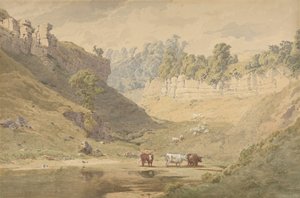 Cattle at a Watering Hole in a Valley