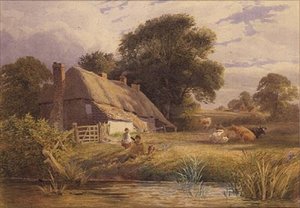 Summer Afternoon