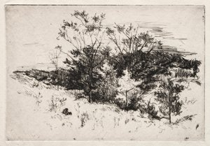Autumn Landscape, 1879-80 by John Henry Twachtman