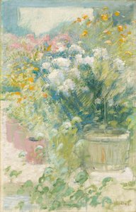 In the Greenhouse