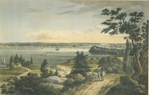 New York from Weehawk by John Hill