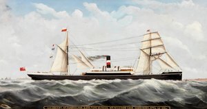 S.S. Cogent of Sunderland, 1884-85