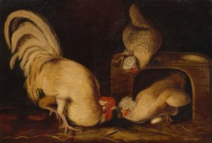 Farmyard Fowls by John James Audubon