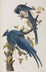Illustration from 