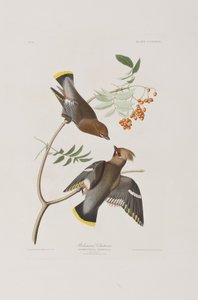 Illustration from 