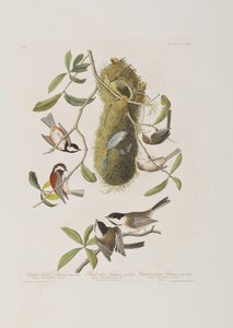 Illustration from 
