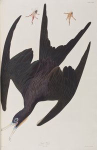 Illustration from 