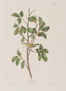 Illustration from 