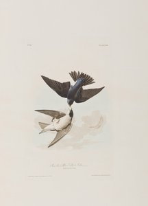 Illustration from 