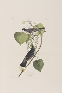 Illustration from 
