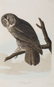 Illustration from 