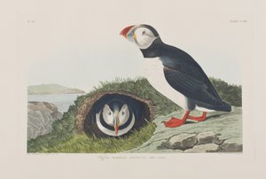 Illustration from 