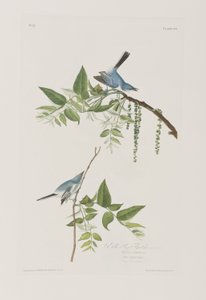 Illustration from 