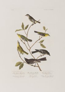 Illustration from 