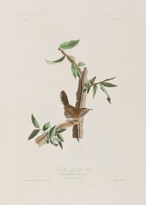 Illustration from 