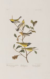 Illustration from 