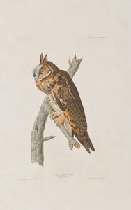 Illustration from 