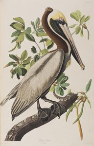 Illustration from 