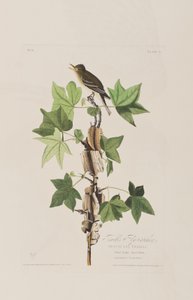 Illustration from 