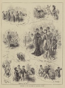 Sketches at the Goat Show at Alexandra Palace by John Jellicoe