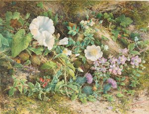 Flower Study by John Jessop Hardwick