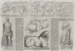 Sculptures from Halicarnassus and Cnidus by John Jessop Hardwick
