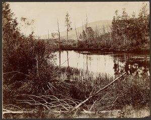 Morain Lake, Aquarius Plateau by John K. Hillers