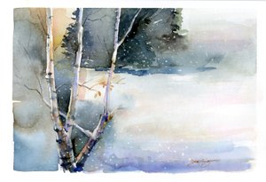 Birch in Winter, 2015