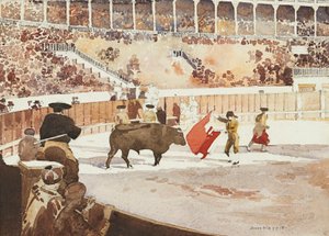 The Bull Fight