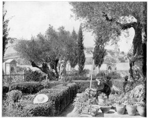 The Garden of Gethsemane, Palestine by John L. Stoddard