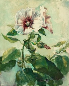 Study of Pink Hollyhocks in Sunlight, from Nature by John La Farge