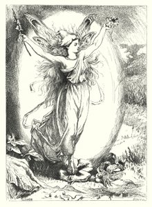 The Hidden Roses by John Lawson