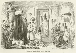 Domestic Sanitary Regulations by John Leech